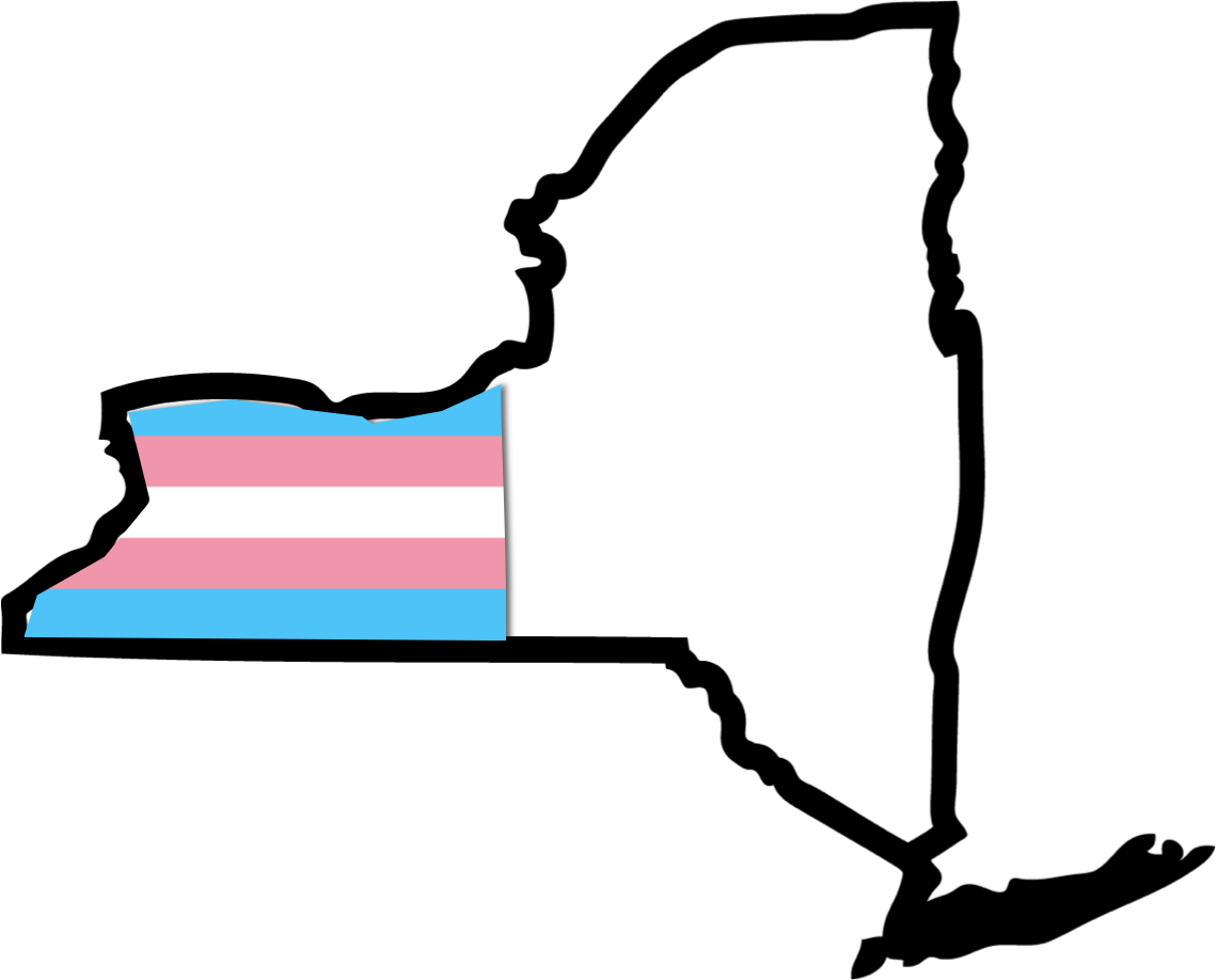 About The Survey - New York State Outline (1139x918)