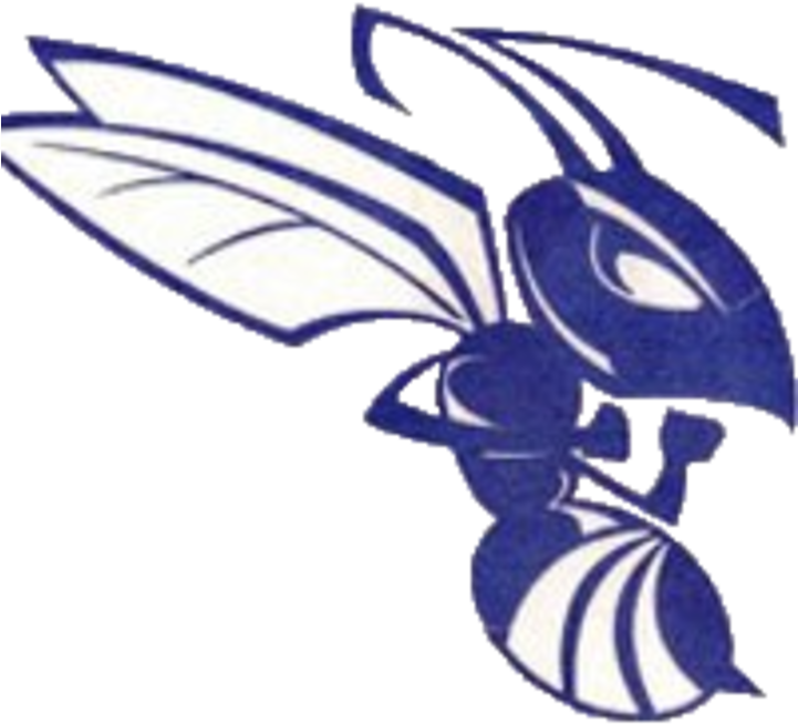 Deep Creek Logo - Deep Creek High School Mascot (720x720)