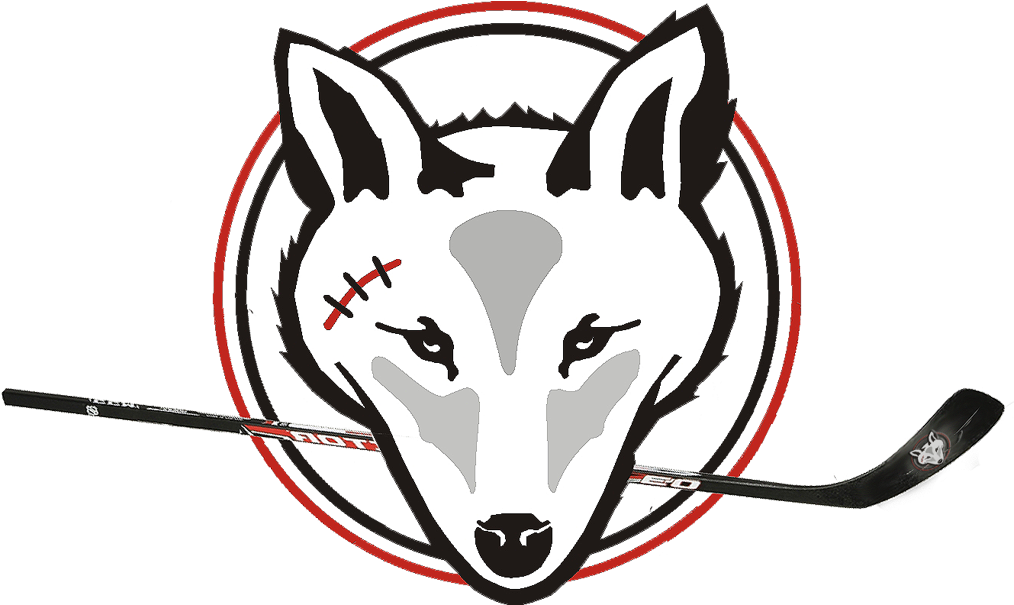 Parent Volunteer Form - Coyote (1024x604)