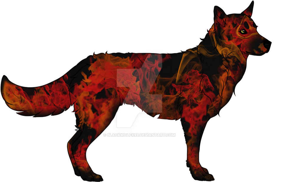 Fire And Smoke Wolf Adoptable, Please Offer - German Shepherd Dog (1023x676)