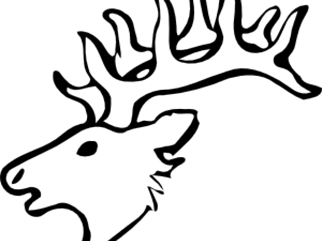 Dear Clipart Deer Drawing - Draw A Deer Head (640x480)