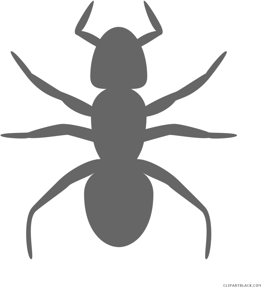 Black And White Ants Animal Free Black White Clipart - Ant Clip Art (958x958)