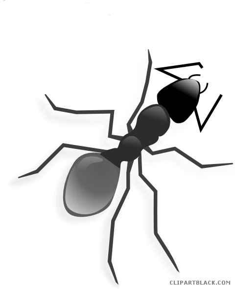 Ant Animal Free Black White Clipart Images Clipartblack - Ant Clip Art (480x592)
