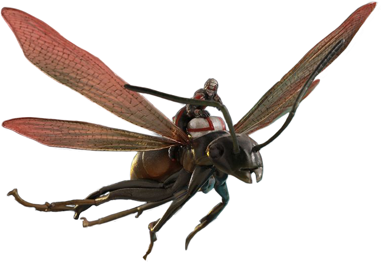 Fly Clipart Ant - Ant Man And The Wasp Png (780x543)