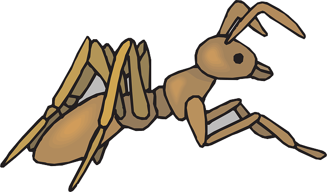 View, Ant, Side, Insect, Legs - Brown Ant Clipart (640x377)