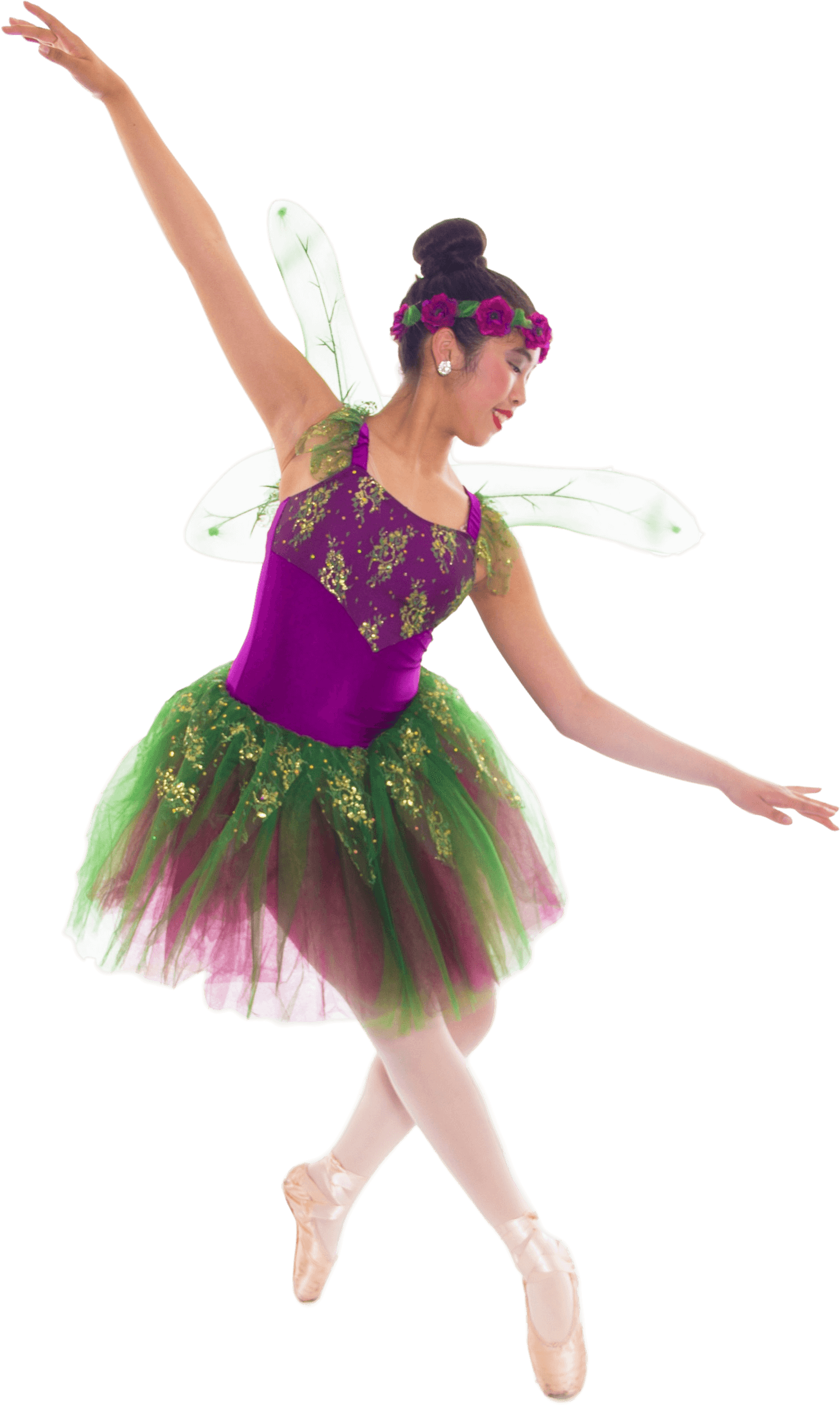 Register For Fall Dance Classes - Ballet Tutu (2242x3273)