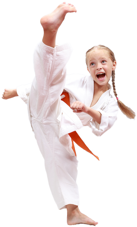 Karate Png High-quality Image - Martial Art Taekwondo (479x800)