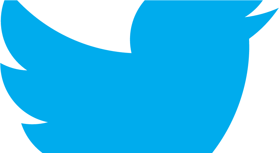 Icone Twitter Png (1000x525)