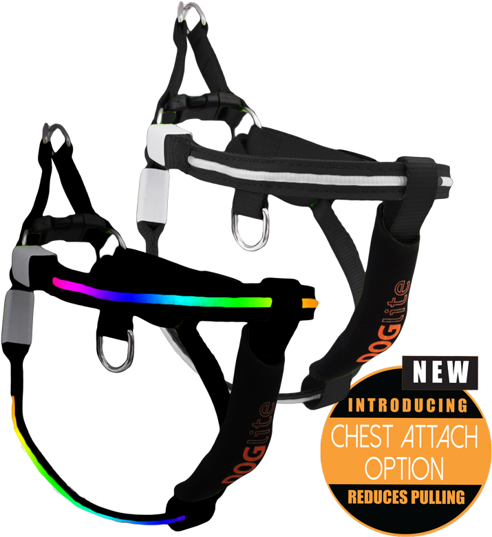 Doglite Harness Mini Dog Extra Small - Dog Harness (800x801)