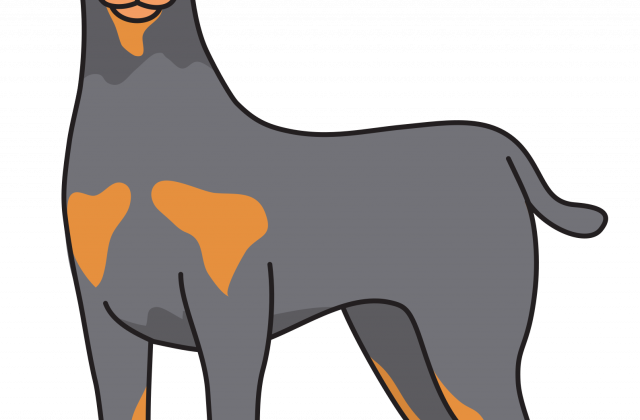 Clipart Dog Doberman - Clip Art (640x420)