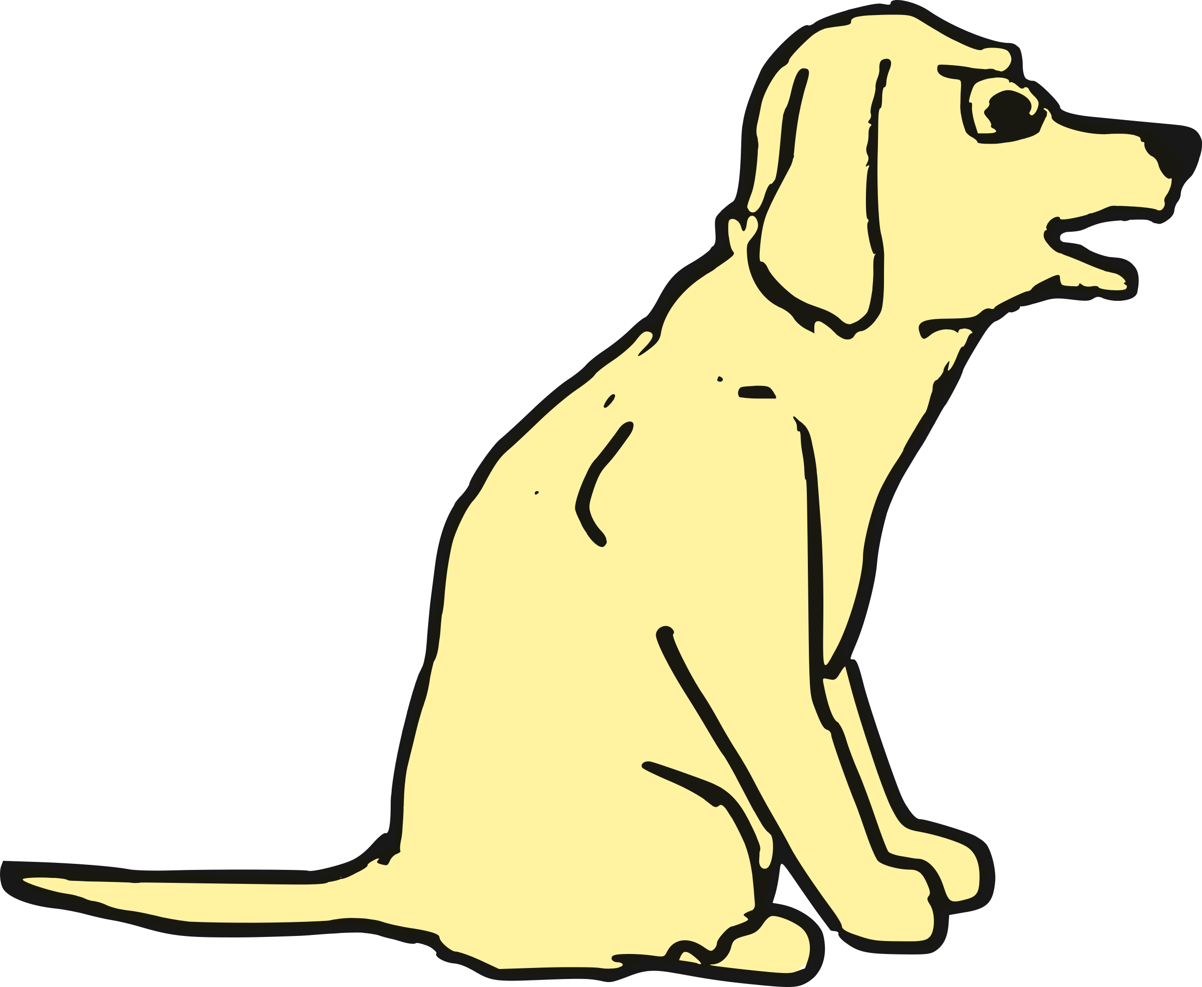 Big Image - Bark (2400x1972)