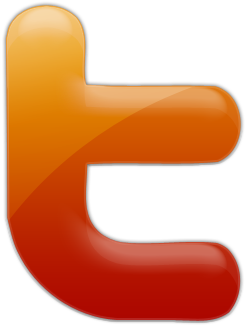 098940 Firey Orange Jelly Icon Social Media Logos Twitter - Sign (420x420)