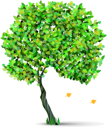 When You Create The Roots, Then You Can Rise - Tree (500x446)