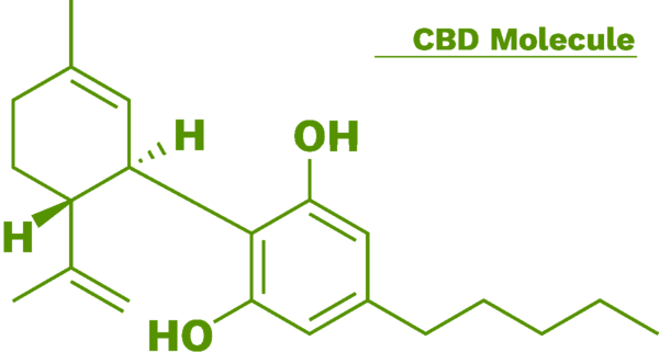 How Does Masaya World Differ From Other Cbd Oils - Structure (600x321)