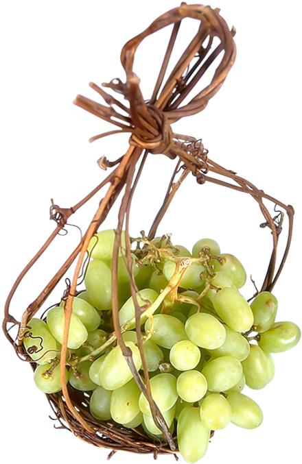 Wine Fruit Grape Clip Art - Sultana (800x799)