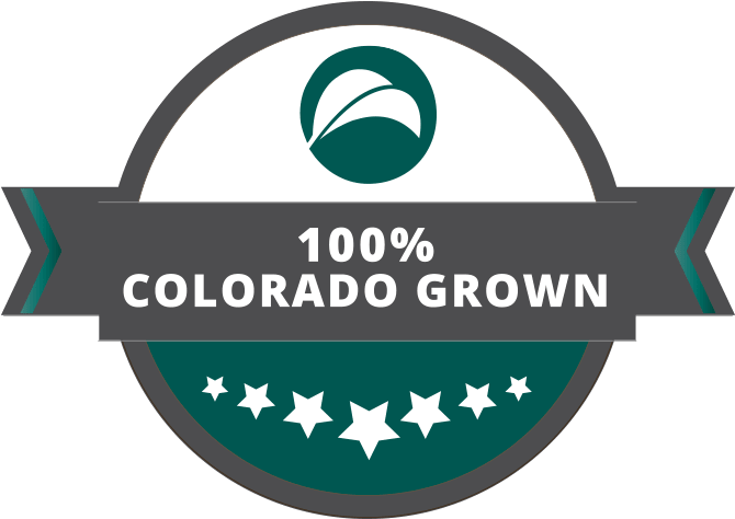 Logo Brand Cannabidiol - Delivery Car Logo (800x564)