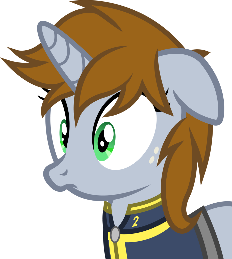 Outlawedtofu, Clothes, Fallout Equestria, Fanfic, Fanfic - Cartoon (919x1024)