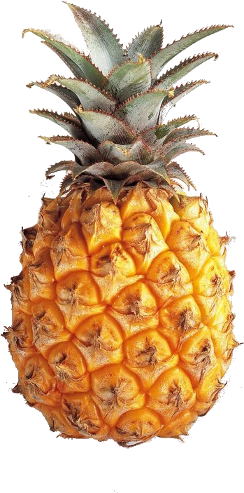 Pineapples Background Tumblr Download - Pineapple Fabric - Large Pineapples Custom Fabric By (487x750)