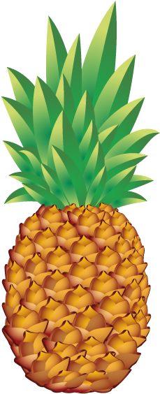 Imagenes Pi&241a Png - Pineapple Vector Art (600x600)