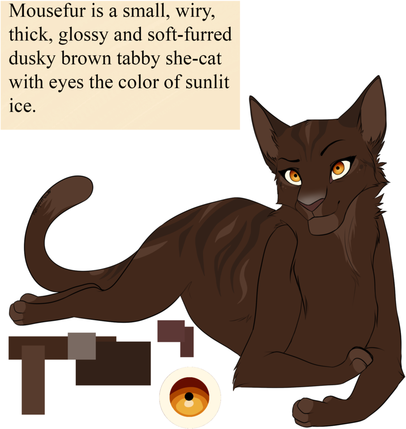 Mousefur By Purespiritflower Mousefur By Purespiritflower - Dusky Brown Cat (894x894)
