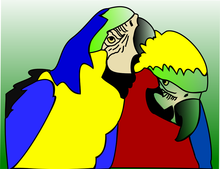 Parrots, Birds, Tropical - Clip Art (914x700)