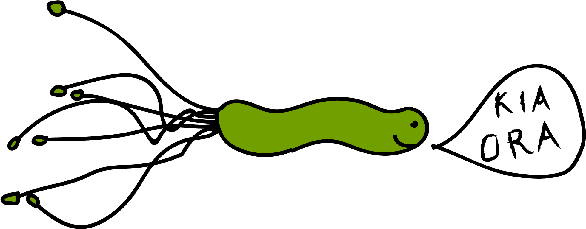 Linguistic Evidence And Genetic Evidence From Gut Bacteria - Helicobacter Pylori (2088x948)