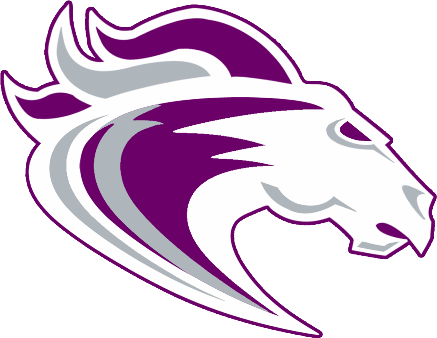 Congratulations To The Varsity Boys Basketball Team - Ridge View High School Logo (1600x1143)