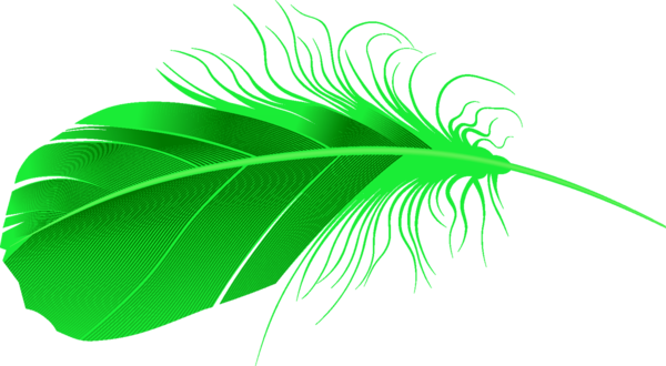 Feathers - Feather Vector (600x330)