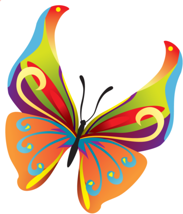Бабочки На Прозрачном Фоне - Butterfly Vector Art Png (602x699)