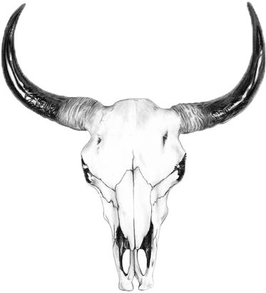 International Bestselling Ranch Series - Bull Skull Black And White (564x564)
