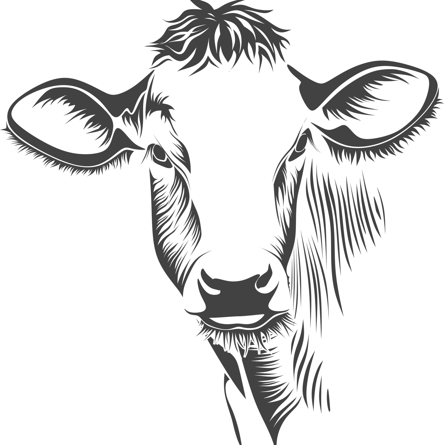 Off Family Ranch - Cow With Bandana Svg (1808x1810)