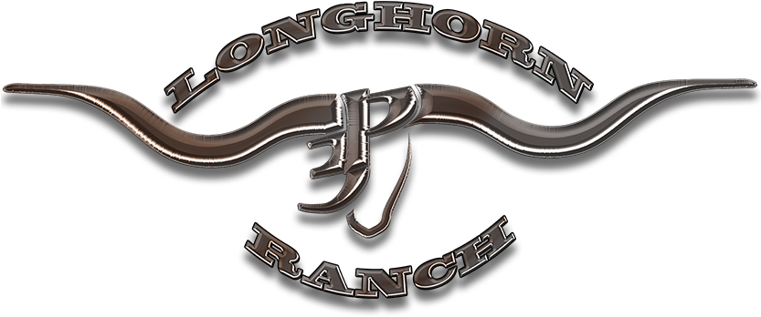 About Us - Calligraphy (832x376)