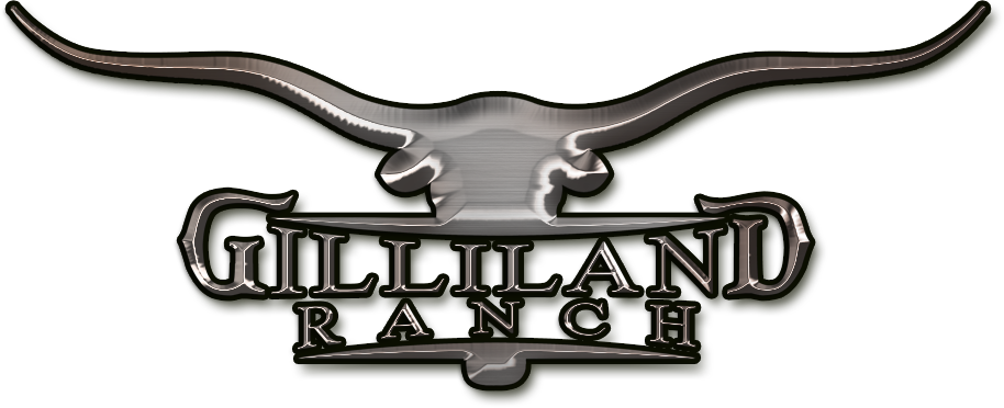 Gilliland Ranch Raising Premium Registered Texas Longhorns - Flint Hills (914x372)