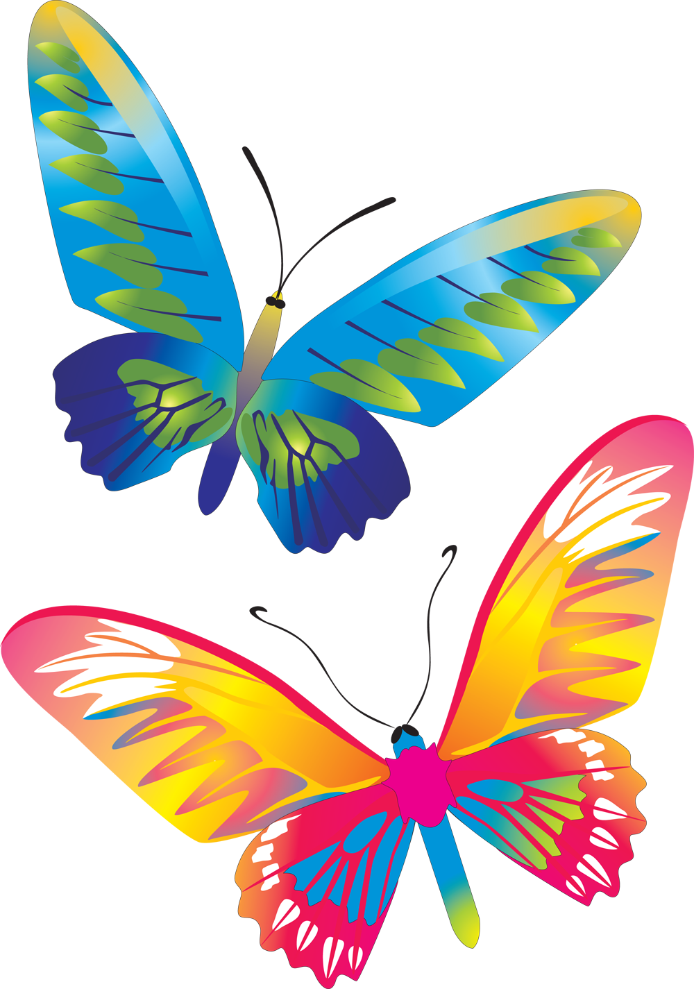 Красивые Бабочки - Butterfly Vector (1000x1425)