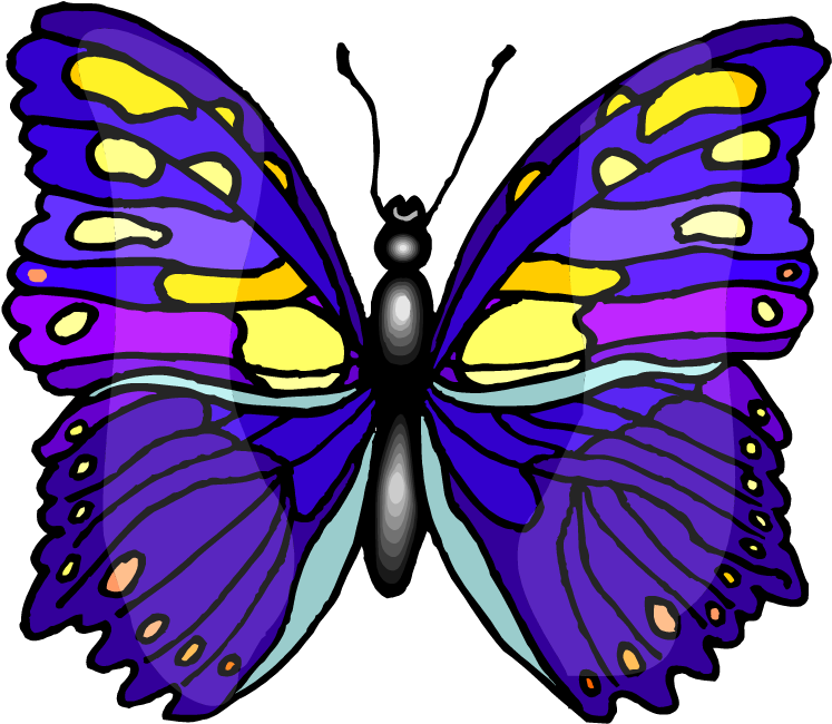 Cafepress Butterfly In Purple Cap (750x736)