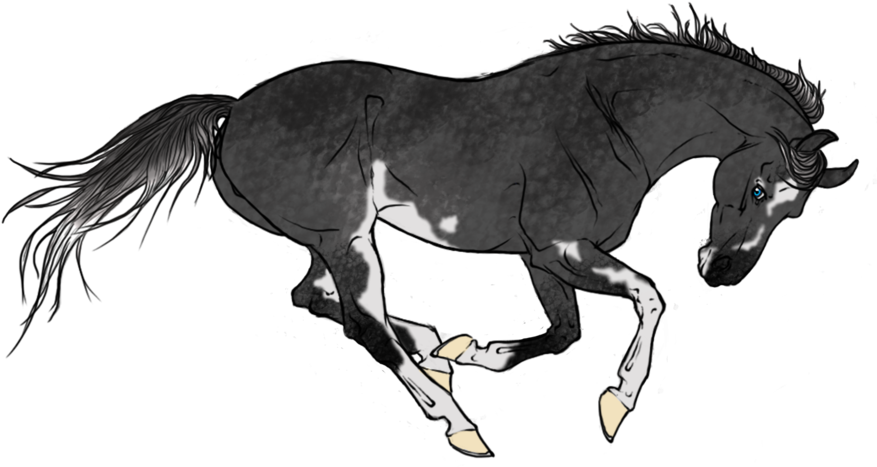 Dark Dapple Grey Splash Auction By Shining Spurs Ranch - Red Dead Redemption (900x581)