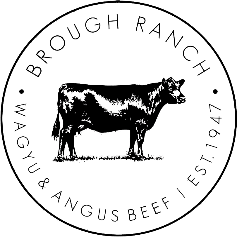 Brough Ranch Beef - Angus Cow And Calf (1024x1024)