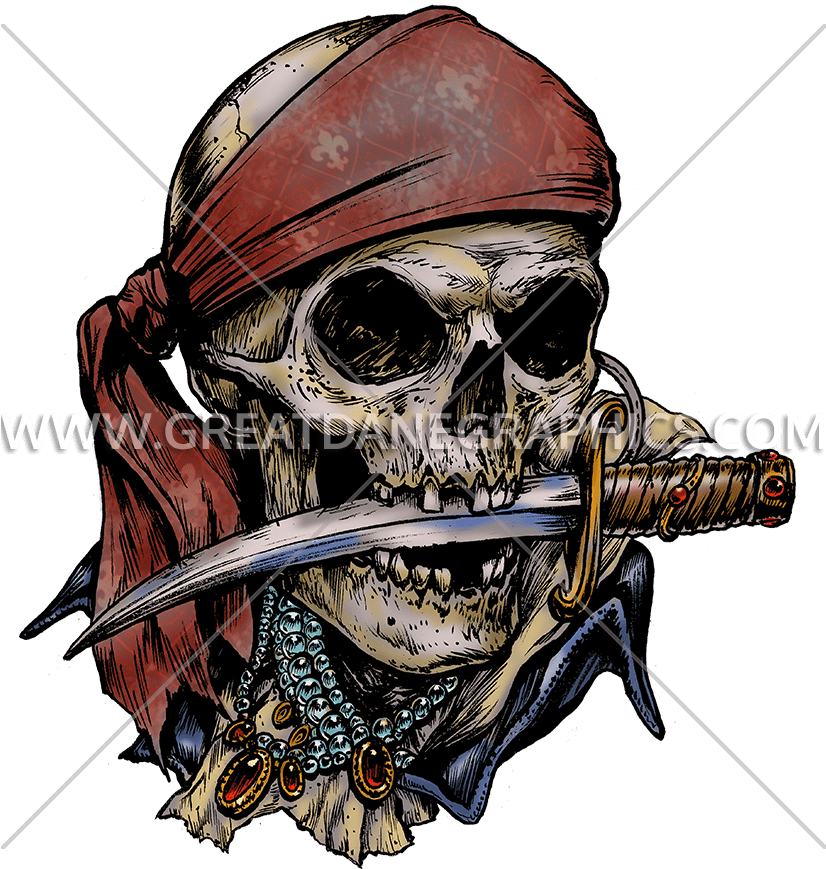 Pirate Skull Anchor - Mystery Of Somber Bay Island [book] (825x952)