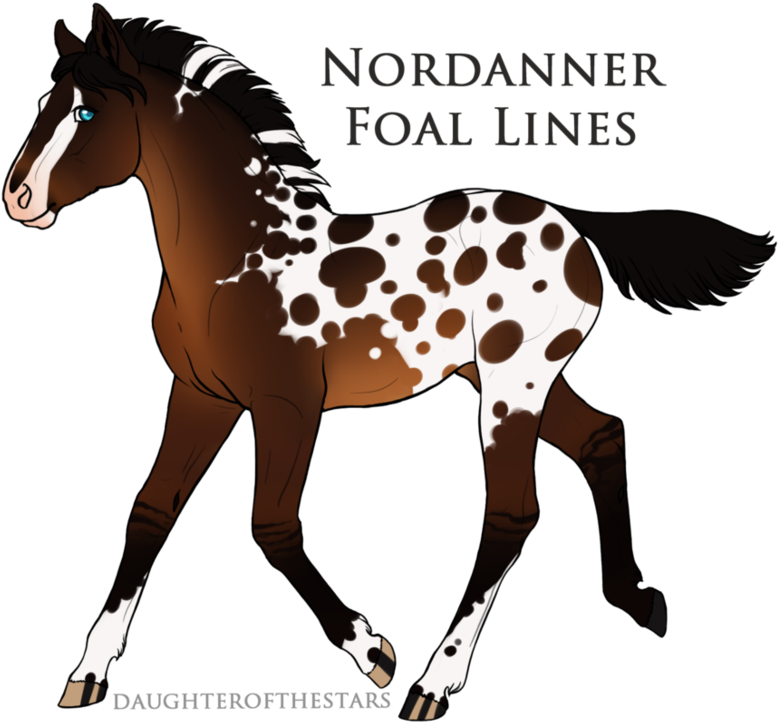 9843 Nordanner Foal Design By Spytfyre-ranch - Digital Art (928x861)