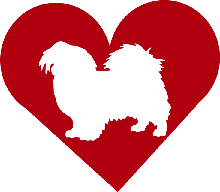 Tibetan Spaniel In Heart Outdoor Vinyl Silhouette - Tibetan Spaniel (733x640)