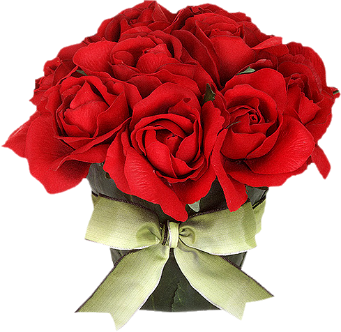 01 - 51 - Red Roses (489x476)
