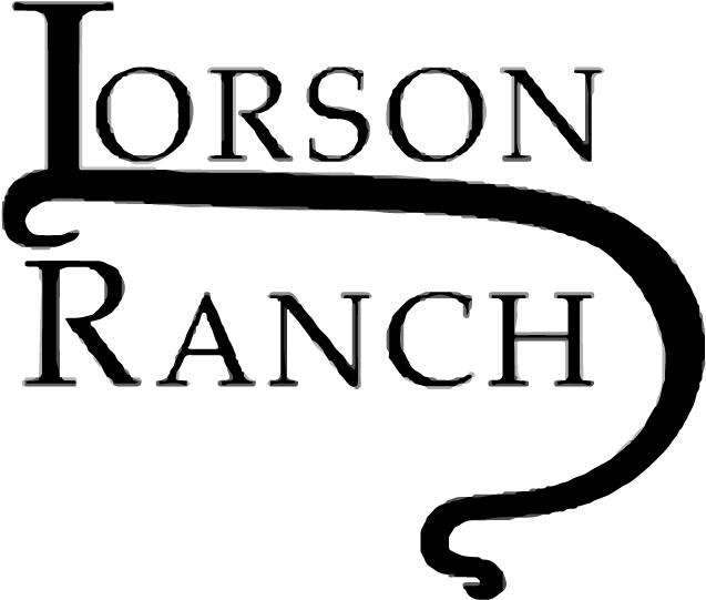 Saint Aubyn Homes In Colorado Springs Is Building New - Calligraphy (1240x600)