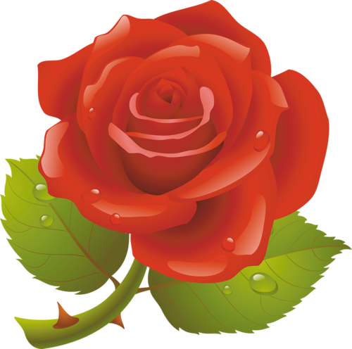 Christine Staniforth ♛༻ - Good Morning In Arabic (500x496)