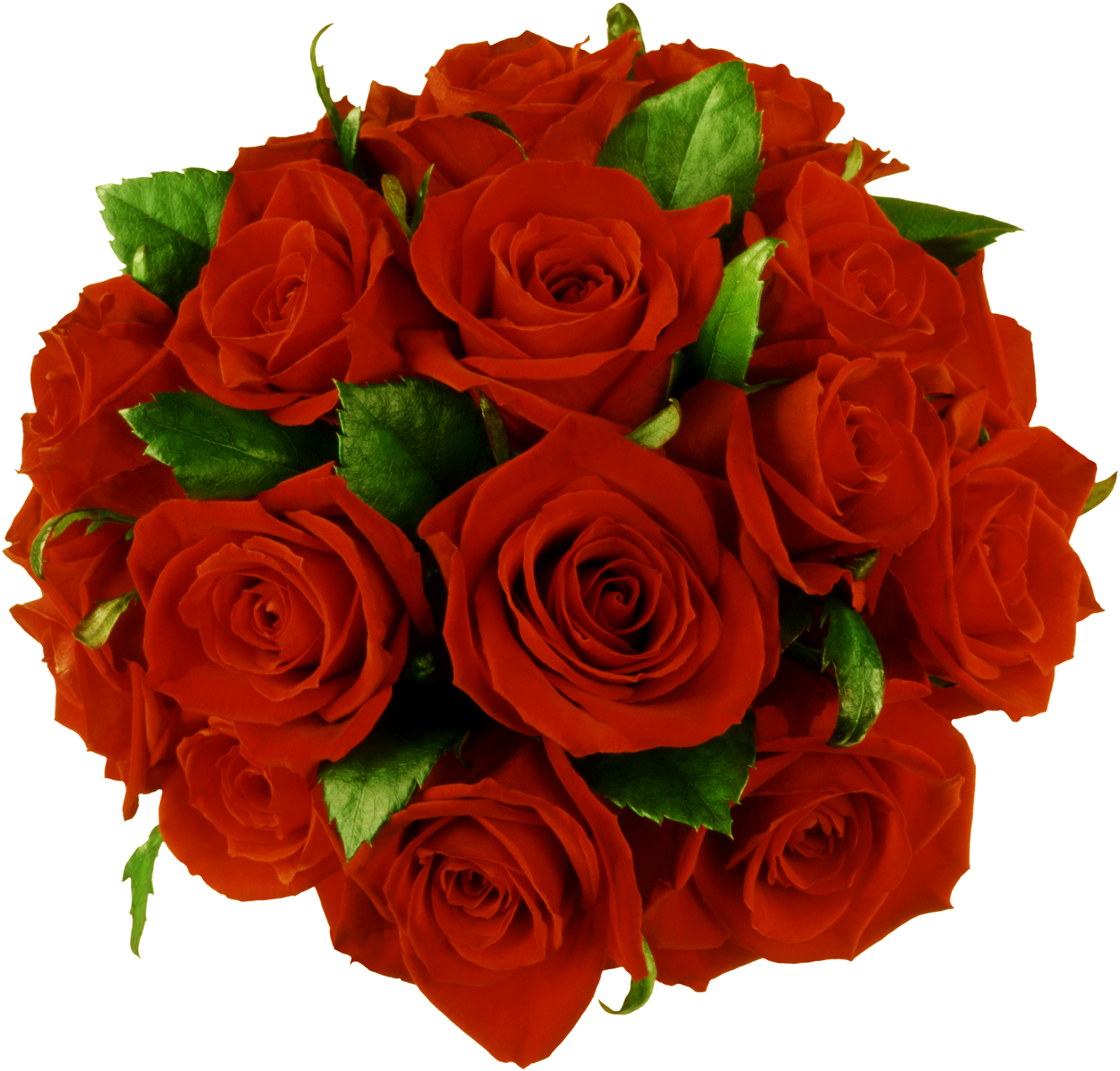 Flores Png, Ramos, Etc, Renders - Red Roses Bouquet Png (1551x1600)