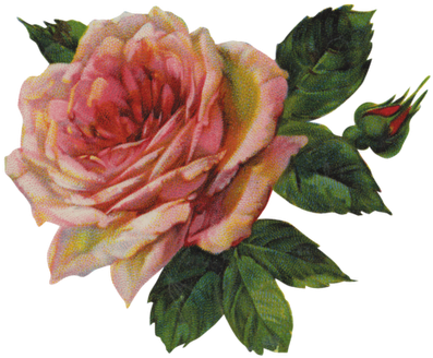 Freebie Printables, French Labels, Roses And The Giveaway - Transparent Vintage Flower Png (400x336)