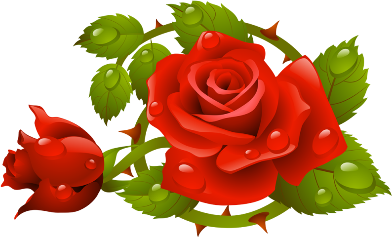 Floral Rose Design Flower - Background Frame Lettering Decoupage Red Roses Png - (800x534) Png Clipart Download