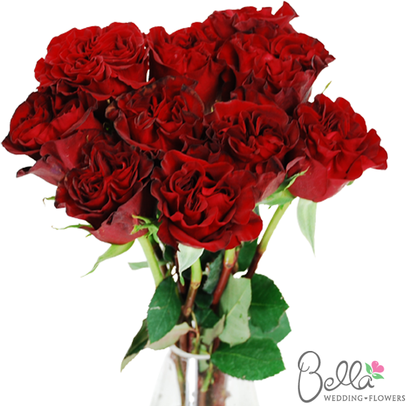 Hearts Garden Roses Are One Of The Newest Hot Items - Wedding (600x567)