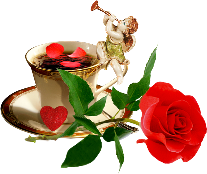 Imagenes Para Fondos Blog Archive Flores Png Rosas - Picmix Bon Week End (700x590)