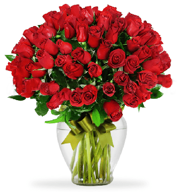 Rosas Rojas En Jarron - Flowers In Flower Pot (458x458)