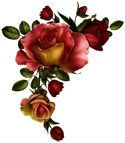 Flores Encontradas En La Web - Rose Corner Border Png (438x500)